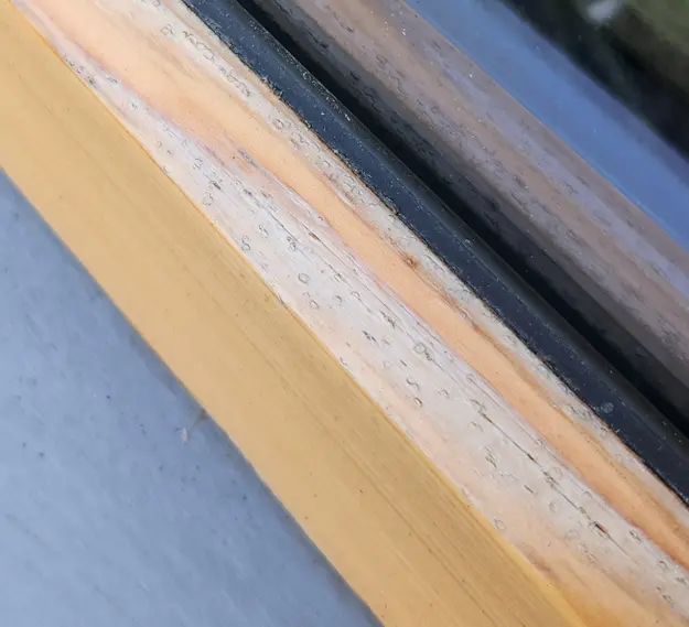 Close-up of hail impact marks that damaged the finish on a wood window's horizontal exterior surface
